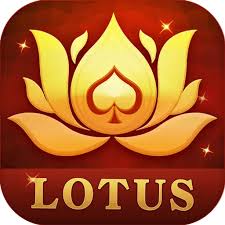 you know rummy promo code download